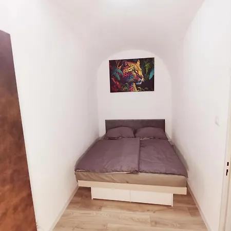 Apartment Alma Downtown