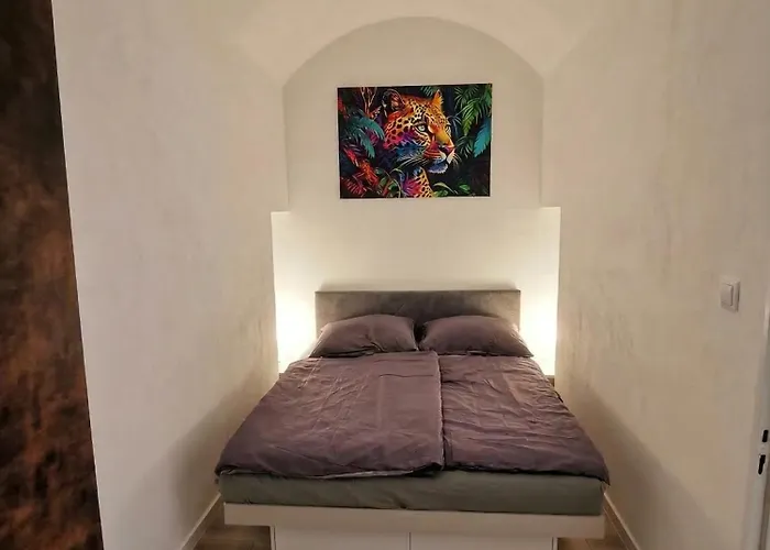 Alma Downtown アパート コシツェ